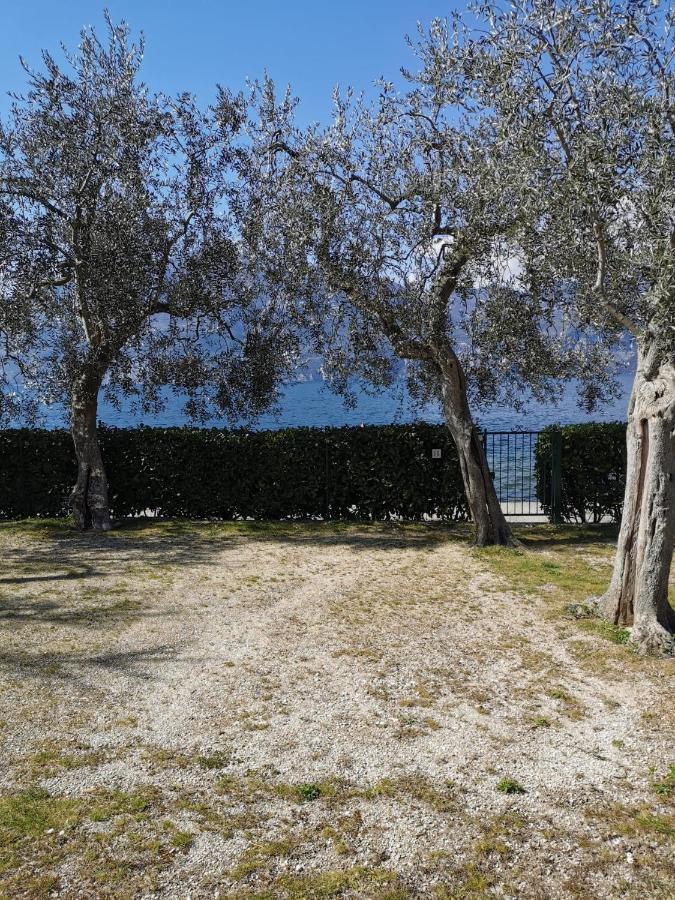 Camping Baldo Brenzone sul Garda Ngoại thất bức ảnh
