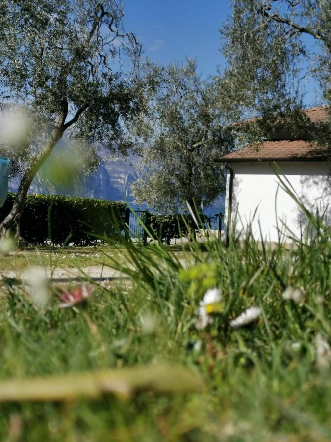 Camping Baldo Brenzone sul Garda Ngoại thất bức ảnh