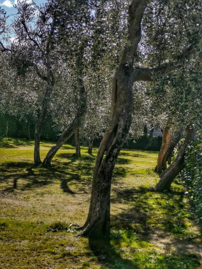 Camping Baldo Brenzone sul Garda Ngoại thất bức ảnh